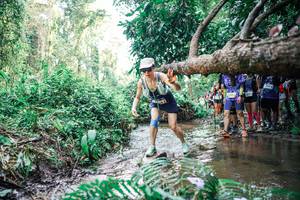 BIB: 
                            <button type="button" onclick="openModal(25475232)" class="btn btn-primary btn-sm float-right btn-popup" data-toggle="modal" data-target=".modal-high-quality">
                        <i class="fas fa-shopping-cart"></i> Add to Cart
                    </button>
                                            <button type="button" onclick="isThisMe(25475232, true)" class="btn btn-success btn-sm float-right btn-popup btn-isme hidden" data-toggle="tooltip" data-placement="bottom" title="นี่คือรูปของคุณใช่ไหม คลิกที่นี่เพื่อเอาเข้าอัลบั้ม">
                        <i class="fas fa-plus"></i> Add to album
                    </button>
                    <button type="button" onclick="isThisMe(25475232, false)" class="btn btn-warning btn-sm float-right btn-popup btn-isnotme hidden">
                        <i class="fas fa-ban"></i> Remove from album
                    </button>